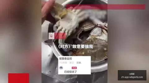 巴西杯：克鲁塞罗主场胜利概率，独家分析